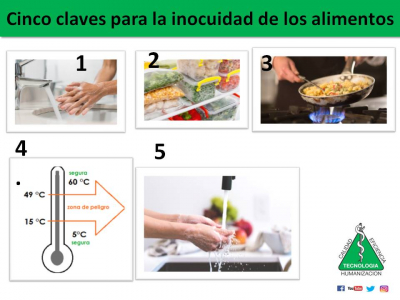 Las cinco claves para la inocuidad de los alimentos